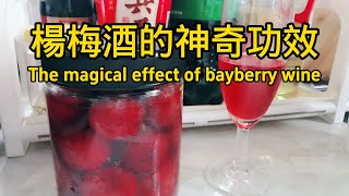 楊梅酒的功效和作用 The efficacy and function of bayberry wine [upl. by Junna792]