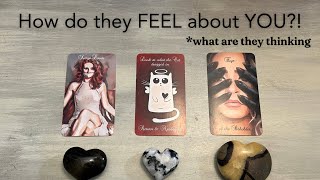 ❤️‍🔥🖤🖤 ❤️‍🔥 Their FEELINGS for YOU PICK A CARD Detailed Love Tarot Reading [upl. by Emlynne]