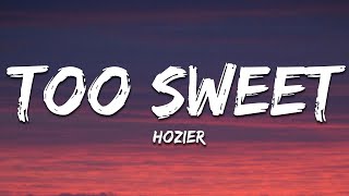 Hozier  Too Sweet Lyrics [upl. by Navy162]