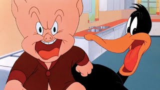 Looney Tunes  Daffy Duck Hunt  Daffy Duck amp Porky Pig  1949  Classic Cartoon [upl. by Ahtanoj622]