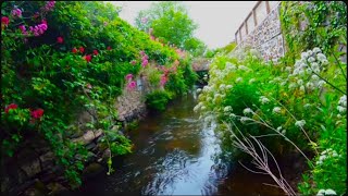 Can I Pass Through Braunton Using ONLY the River Caen EP1 Deans Bridge to Caen Street [upl. by Nielson317]