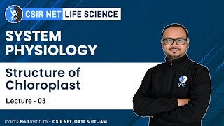 Structure Of Chloroplast  System Physiology  CSIR NET Exam For Life Science [upl. by Felic932]