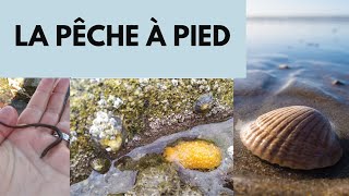 La pêche à pied [upl. by Wrand]