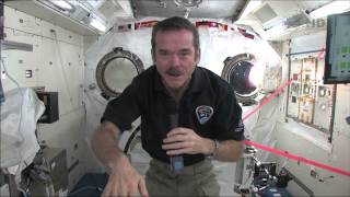 Chris Hadfield answers questions live from space with the Governor General of Canada [upl. by Aniretak]