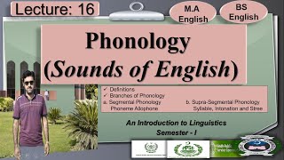 Phonology  Branches of Phonology  Lecture 16 LinguisticsI [upl. by Odie]