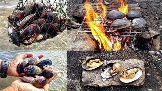 outdoor  catch and cook  Freshwater Mussel cooking  Duck Mussel  Anodonta anatina [upl. by Anabel]