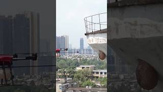 See how a beehive is removed using a drone 😱 shorts [upl. by Llewkcor330]