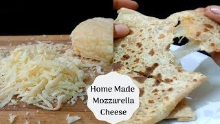 Mozzarella Cheese At Home  Mozzarella Cheese Without Rennet  Cheese Paratha Recipe [upl. by Leggett351]