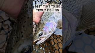 Best Time to go Trout Fishing 🕰️🎣 troutfishing adventure nature learn fish steelhead brown [upl. by Pigeon]