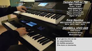 Spazio Tempo  Un professore  cover strumentale con testo  instrumental cover with lyrics [upl. by Wash]