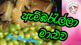 Ambarella Curry June Plums Curry ඇම්බරැල්ලා මාළුව Ape Ambul Rasa [upl. by Anuahsar]