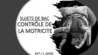 SUJETS BAC MOTRICITÉ 1 [upl. by Enyrhtak]