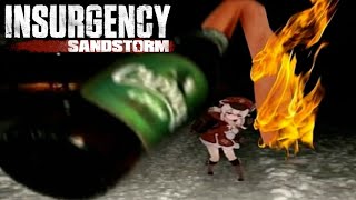 ​​Insurgency Sandstorm but Sly gets fried [upl. by Idroj]