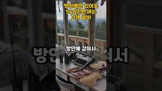 방안에만 있어도 540만 원 버는 고액 알바 [upl. by Arrahs]