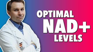 What Is NAD Longevity Boosts of Nicotinamide Adenine Dinucleotide amp NMN [upl. by Spitzer267]