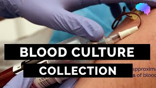 Blood Culture Collection  OSCE Guide  UKMLA  CPSA [upl. by Bussy364]