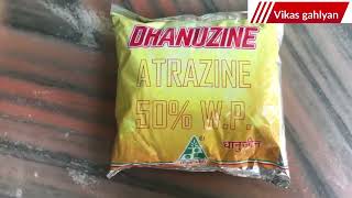 Dhanuka Dhanuzine herbicide  Dhanuzine herbicide  atrazine 50 wp  Dhanuzine selective herbicide [upl. by Florri]