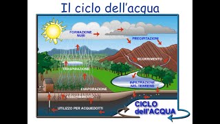 Lacqua e il ciclo dellacqua [upl. by Whitver]