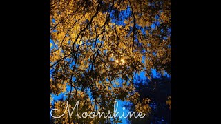 MoonShine album [upl. by Down349]