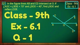 Class  9th Ex  61 Q 1 Lines and Angles Maths NCERT CBSE [upl. by Zile]