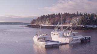 Musquash Estuary  A Protected Treasure [upl. by Windzer]