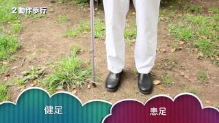 Walking with a cane 1 Difference between 2pointgait amp 3pointgait [upl. by Auric854]