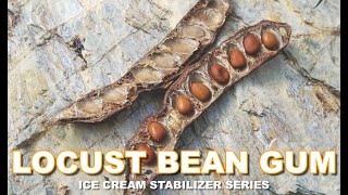 What is Locust Bean Gum Ice Cream Stabilizer Series [upl. by Eohce485]