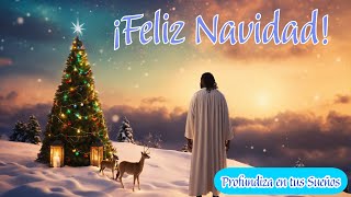 ☃️🌸 Feliz Navidad Felices Fiestas Feliz Año Nuevo ☃️🌸 [upl. by Mozes72]