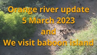 Orange river flood update 5 March 2023 water level dropping fast and a quick visit to baboon island [upl. by Anayi]