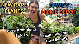 New 16 RARE Plant Varieties at Lowes amp Home Depot  Big Box Rare Plant Hunting [upl. by Steady]