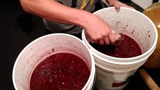 How to Start a Wine Fermentation and Balance Your Must  Home Winemaking [upl. by Volding47]