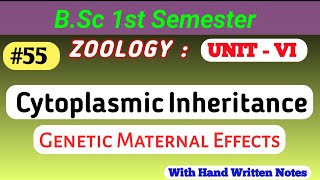 Cytoplasmic Inheritance  Genetic Maternal Effects  inheritance genetics geneticmaterial [upl. by Ycnaffit]