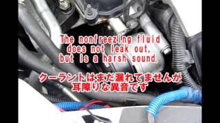 Bad Water Pump Bearing Noise [upl. by Muna781]