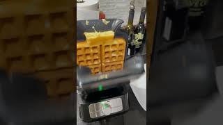 Ninja Belgian Waffle Maker Cooks Vertical Waffles Overland Waffle Time [upl. by Giarc954]