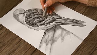 How to Draw a Falcon Step by step  Saker Falcon Sketch  Pencil Drawing [upl. by Esmond621]