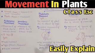 Movement In Plants  Autonomic Movement  Tactic Turgor Pressure amp Growth Movement  Class 12 [upl. by Kynan]