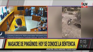 ⚫ MASACRE DE PINGÜINOS EN PUNTA TOMBO HOY SE CONOCE LA SENTENCIA CONTRA RICARDO LA REGINA [upl. by Adnahc591]