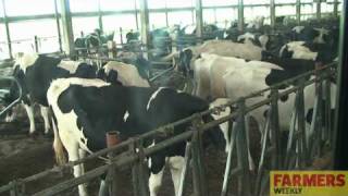 Farmers Weekly visits a 32000 cow dairy [upl. by Rafaelof]