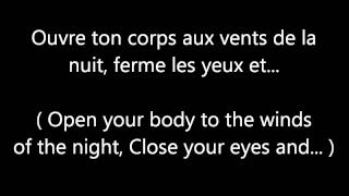 Garou amp Céline Dion  Sous le vent LYRICS  TRANSLATION [upl. by Biebel109]