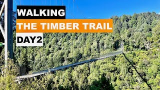 New Zealand Hiking Walking the Timber Trail  Day Two  Bog Inn Hut to Piropiro Campsite [upl. by Aihsilat809]