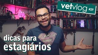 DICAS para ESTAGIÁRIOS de medicina veterinária  VetVlog 29 [upl. by Hisbe298]