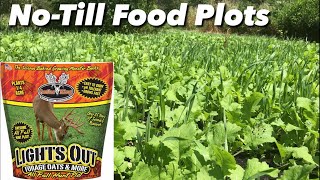 No Till Brassica Food Plots  Antler King’s Lights Out Food Plot [upl. by Sucramel442]