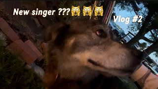 We FOUND A NEW SINGER🙀😣 Sunday vlog [upl. by Missy]