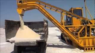 Durrant 59095 salt harvester in India [upl. by Ahsino]