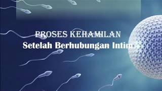 5 PROSES KEHAMILAN SETELAH BERHUBUNGAN INTIM [upl. by Cammie]