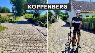 Koppenberg [upl. by Anuaf]