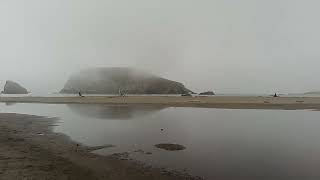 Brookings Oregon coast Noon September 6 2024 [upl. by Gambell27]