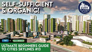 Going GREEN with the Green Cities DLC  Ultimate Beginners Guide to Cities Skylines 13 [upl. by Rothenberg458]