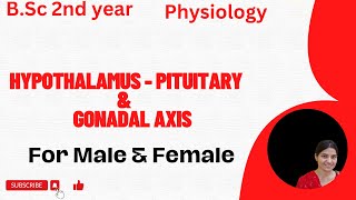 HypothalamusPituitary And Gonadal Axis BSc 2nd YearCore VI Controlling and coordinating System [upl. by Ylellan]