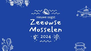 Nieuw seizoen Zeeuwse mosselen 2024 van start [upl. by Rabkin14]